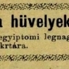 1901.03.31. Szivarkahüvelyek