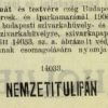 1906.03.30. Nemzeti Tulipán 2.