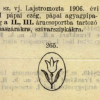 1906.04.26. Tulipán pipa és szipka