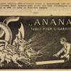 1909.07.10. Ananas papír és hüvely