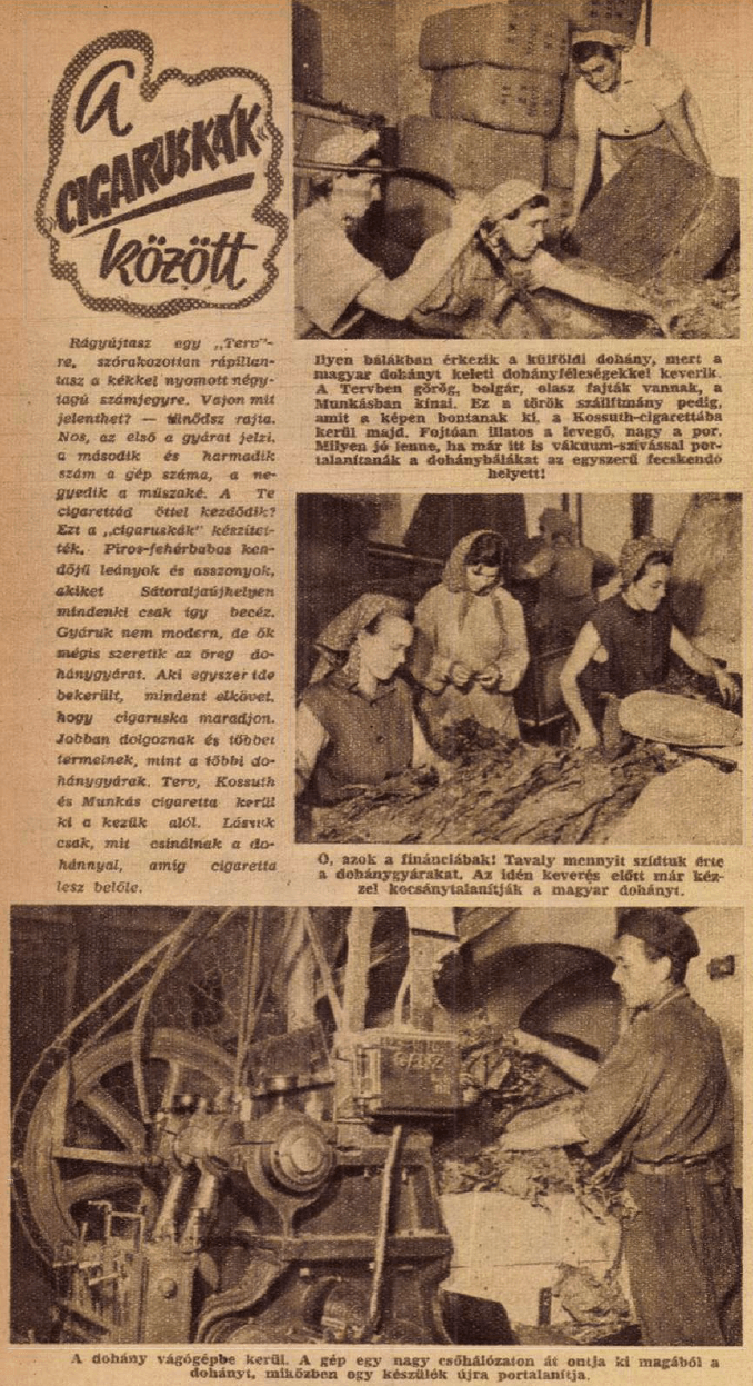 1956.07.26. Dohányipar