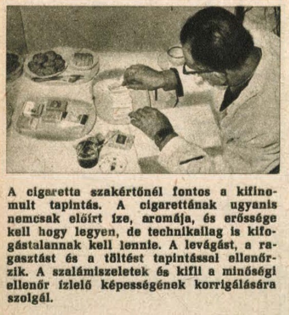 1964.09.13. Cigarettaszakértő