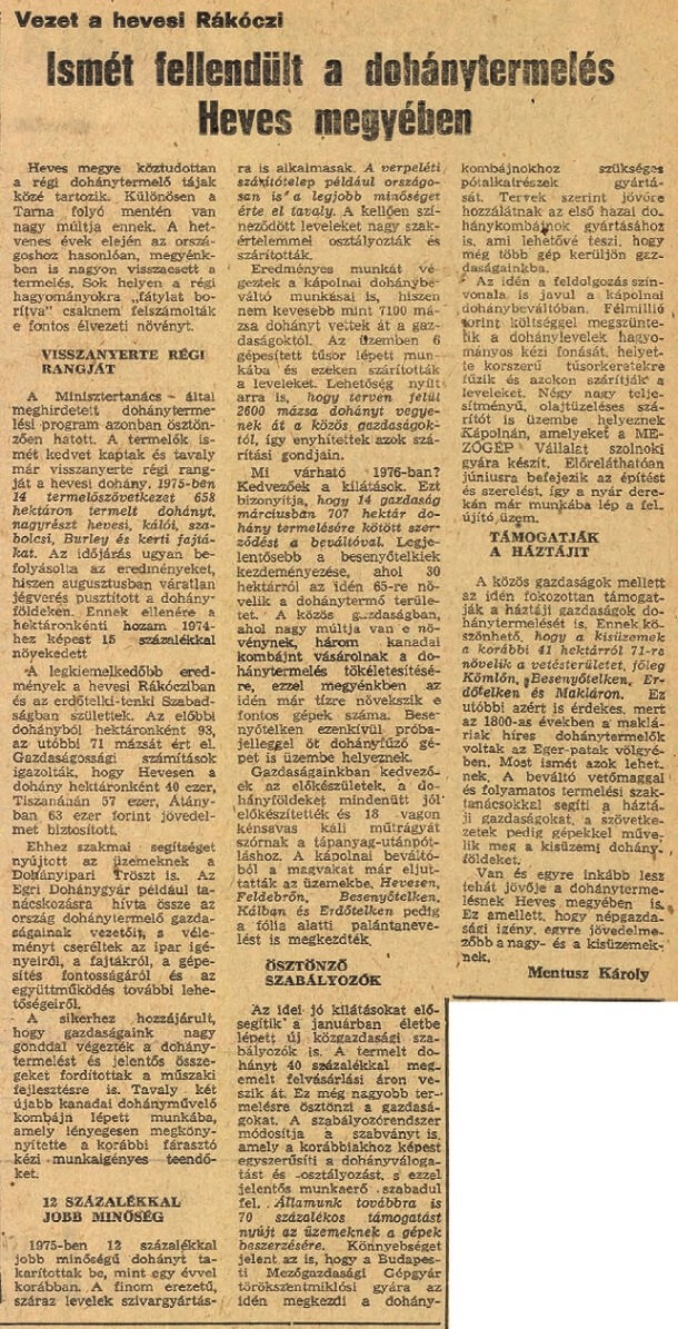 1976.04.08. Dohánytermelés