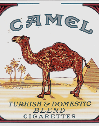 Camel 5.