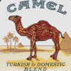 Camel 5.