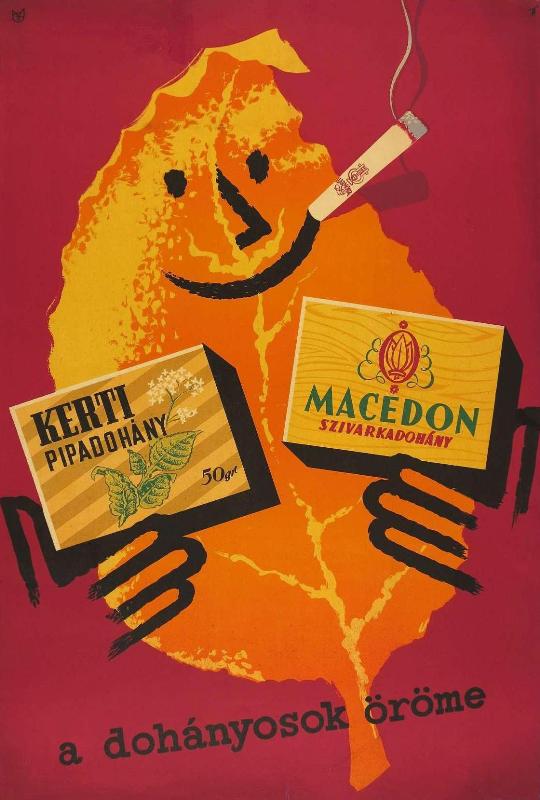 Kerti pipadohány és Macedon cigarettadohány