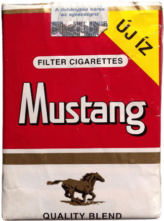 Mustang 07.