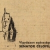 Senator Celofilter hüvely 24.