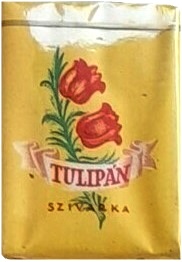 Tulipán 2.