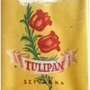 Tulipán 2.