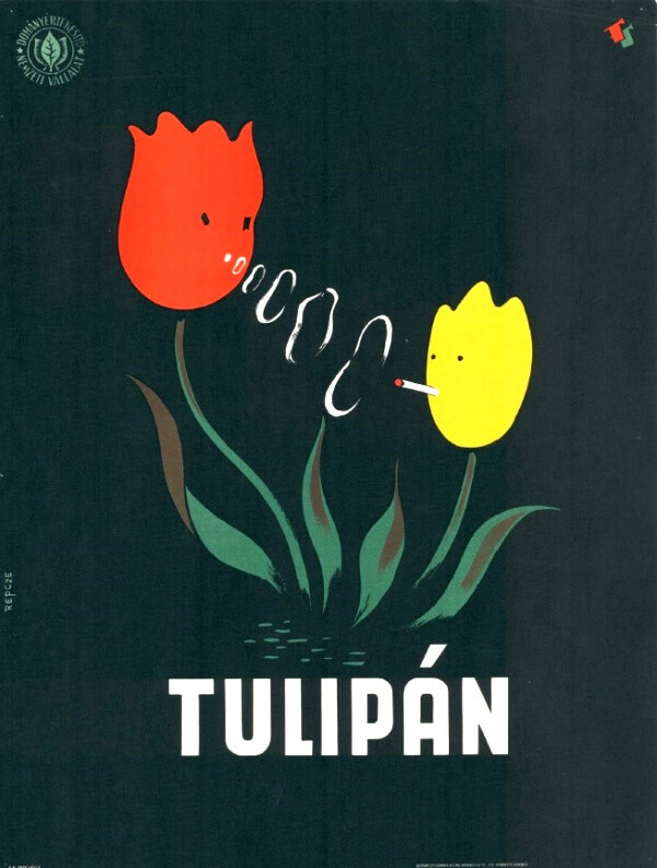 Tulipán cigaretta 1.