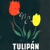 Tulipán cigaretta 1.