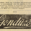 1911.03.27. Gondűző papír és hüvely 2.