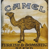 Camel 1.