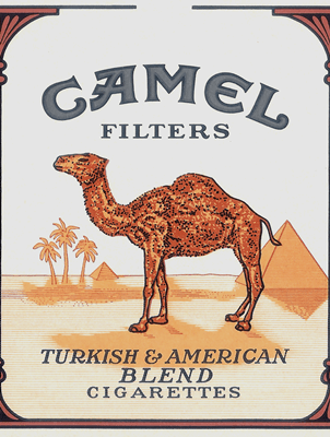 Camel 4.