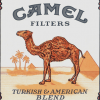 Camel 4.