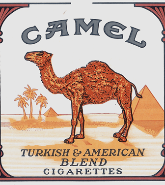 Camel 3.