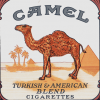 Camel 3.