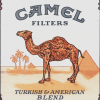 Camel 5.