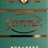 Gamma 2.