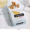 Symphonia cigaretta 05.