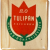 Tulipán 2.