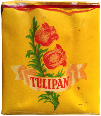 Tulipán 2.